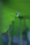IMG_0946ri