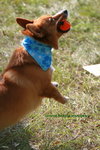 IMG_9644.jpga.jpgi