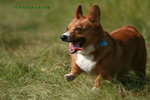 IMG_9653.jpga.jpgi