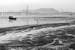 _MG_9989.jpgs