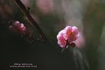 IMG_9710.jpgi