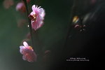 IMG_9719.jpgi