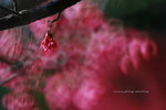 IMG_9751.jpgi