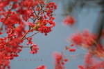 IMG_9752.jpgi