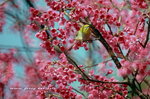 IMG_9757.jpgi