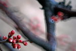 IMG_1790.jpgre_resize