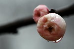 IMG_1800.jpgre_resize