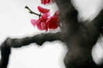 IMG_1928.jpgre_resize