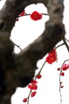 IMG_1931.jpgre_resize
