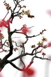 IMG_1937.jpgre_resize
