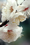 IMG_1953.jpgre_resize