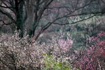 IMG_1972.jpgre_resize