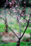 IMG_2019.jpgre_resize