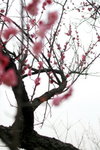 IMG_2029.jpgre_resize
