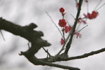 IMG_2052.jpgre_resize