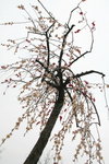 IMG_2072.jpgre_resize