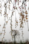 IMG_2074.jpgre_resize