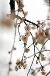 IMG_2080.jpgre_resize
