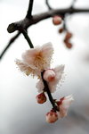 IMG_2086.jpgre_resize