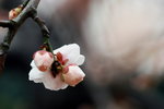 IMG_2097.jpgre_resize