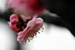 IMG_2102.jpgre_resize