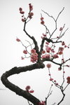 IMG_2118.jpgre_resize