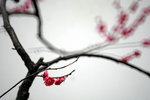 IMG_2193.jpgre_resize