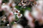 IMG_2199.jpgre_resize