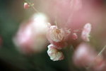 IMG_2200.jpgre_resize