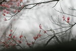 IMG_2482.jpgre_resize