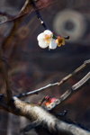 _MG_2996_resize