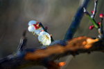 _MG_3007_resize