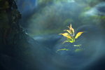 _MG_3021_resize