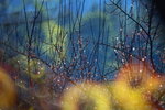 _MG_3024_resize
