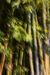 _MG_3155_resize