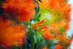 _MG_3202_resize