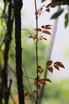IMG_7122.jpgq.jpgs