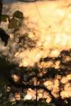 IMG_7126.jpgq.jpgs