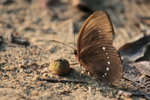 IMG_7135.jpgq.jpgs