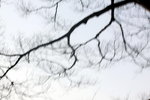 IMG_7143.jpgq.jpgs