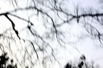 IMG_7152.jpgq.jpgs