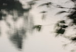 IMG_7160.jpgq.jpgs