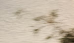 IMG_7165.jpgq.jpgs