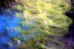 IMG_7174.jpgq.jpgs