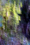 IMG_7177.jpgq.jpgs
