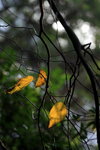 IMG_7237.jpgq.jpgs