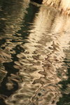 IMG_7256.jpgq.jpgs