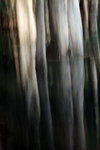 IMG_7302.jpgq.jpgs