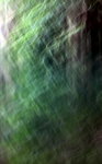 IMG_7346.jpgq.jpgs