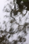 IMG_7352.jpgq.jpgs